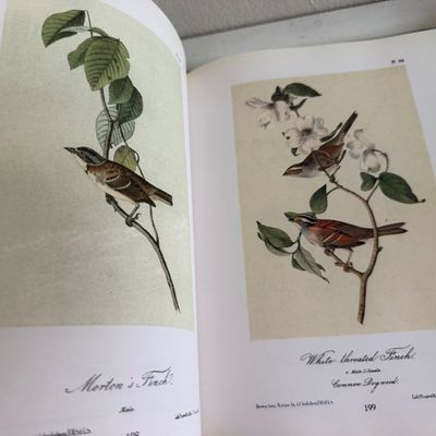 TWO Large Hardback Books - Birds Audubon