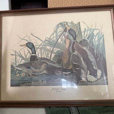 Pair of Wildlife Wall Art