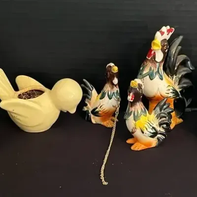 Feathered Friends