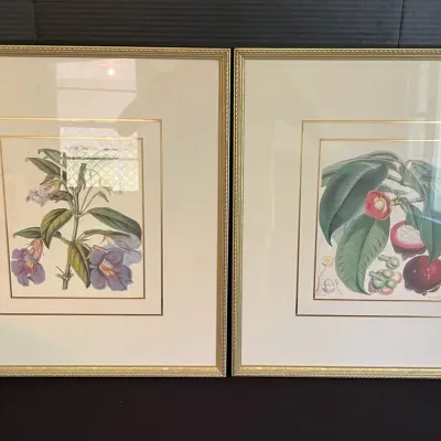 Framed Prints