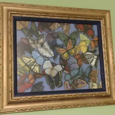 Colorful Framed Butterfly Print