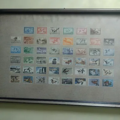 Sale Photo Thumbnail #40