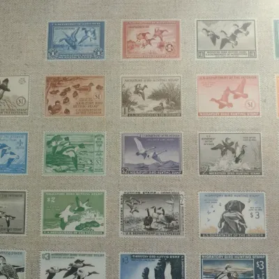 Sale Photo Thumbnail #45