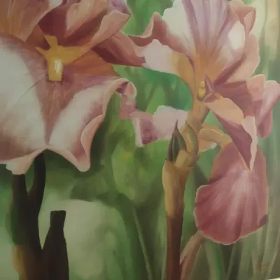 Large Framed Floral Print