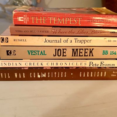 Sale Photo Thumbnail #434: Well known titles and authors.