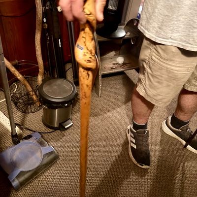 Sale Photo Thumbnail #450: Shorter knotted walking cane with white tip.