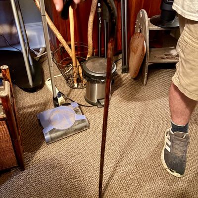 Sale Photo Thumbnail #451: Thin and lightweight cane, appears to be made of walnut.