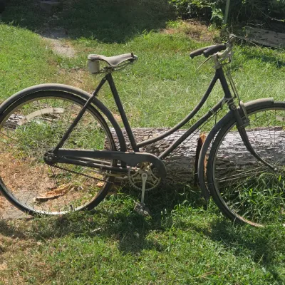 Sale Photo Thumbnail #527: Would make for a nice yard art piece,  or a restoration project.