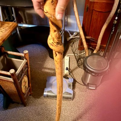 Sale Photo Thumbnail #449: Shorter knotted walking cane with white tip.