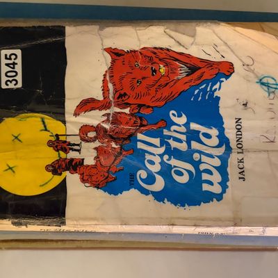 Sale Photo Thumbnail #435: Well known titles.
Vintage and very sought after books!