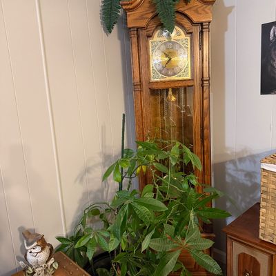 Sale Photo Thumbnail #36