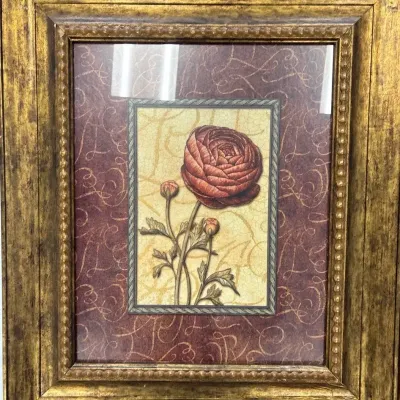 Tuscan Rose Large Painting & Gold Colored Frame + Plant Picture