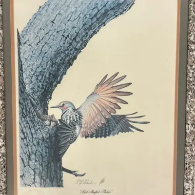 Red Shafted Flicker Bird Print & B.P Co Bird I’m Mailbox Nest