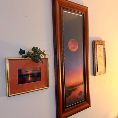 Sale Photo Thumbnail #8