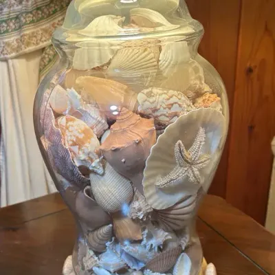 Pair Of Seashell Lamps With Shades 