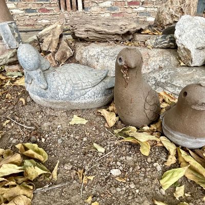 Sale Photo Thumbnail #572: Yard