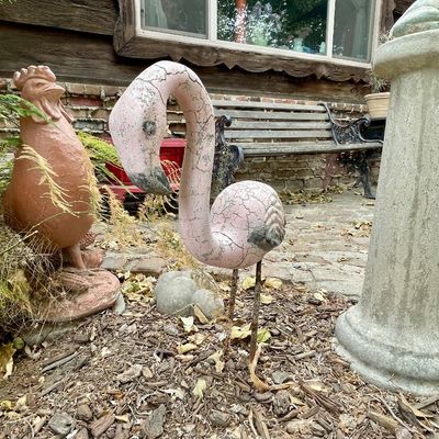 Sale Photo Thumbnail #589: Yard