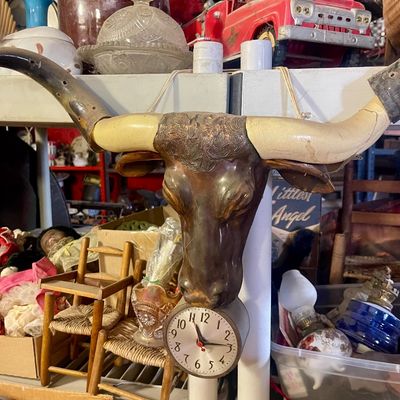 Sale Photo Thumbnail #395: Bull head 