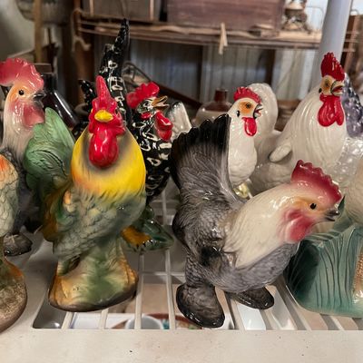 Chickens