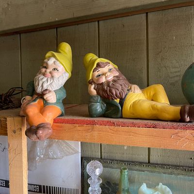Sale Photo Thumbnail #498: Gnomes