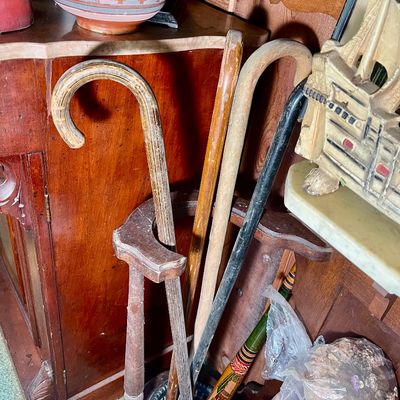 Sale Photo Thumbnail #141: Canes 