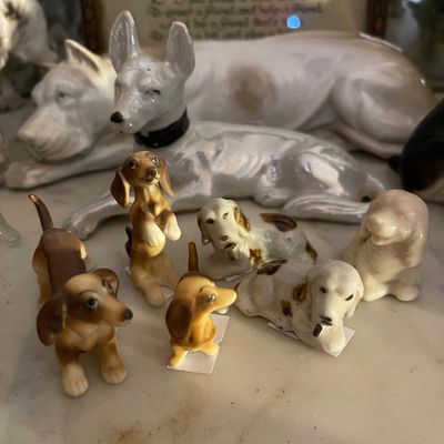 Sale Photo Thumbnail #689: Small animals 