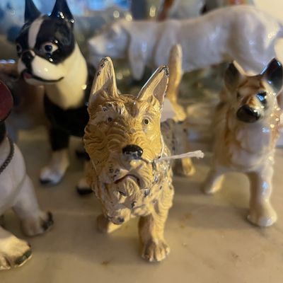 Sale Photo Thumbnail #691: Small animals 