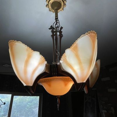 Shell lamp 
