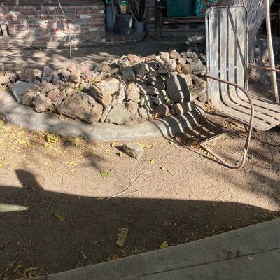 LARGE VERY NICE PETRIFIED COLLECTION 
COME SEE THE ROCKS ! 