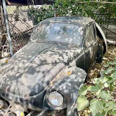 Sale Photo Thumbnail #237: VW 