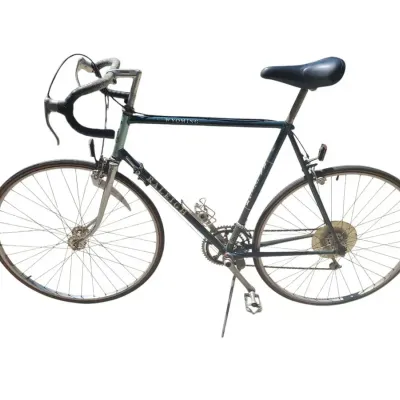TJ202 Vintage Raleigh 555 Wyoming Touring Bike