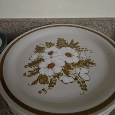 Vintage mountain wood collection stoneware dnner plates set of 8