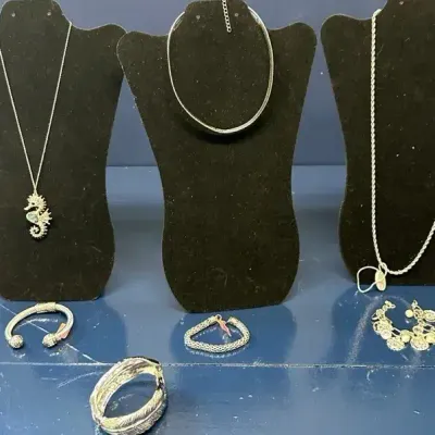 Stunning Seahorse Necklace And More!