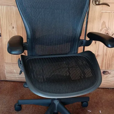 Not Herman Munster...Herman MILLER!