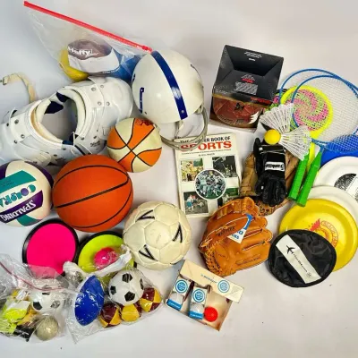 Sports Equipment Lot Balls Gloves Games