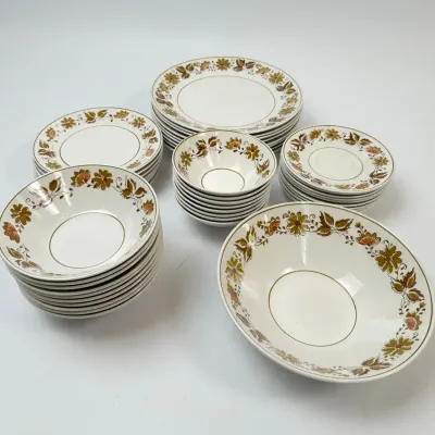Mikasa Cera-Stone West Wood 3150-W Japan Dinnerware Dish Set