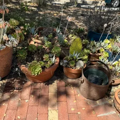 Sale Photo Thumbnail #26