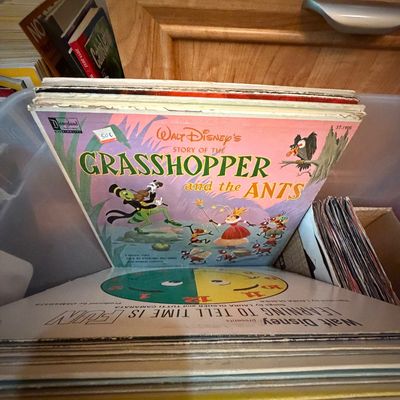 Sale Photo Thumbnail #279