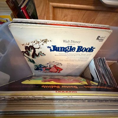 Sale Photo Thumbnail #281