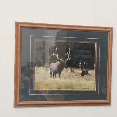 Sale Photo Thumbnail #91