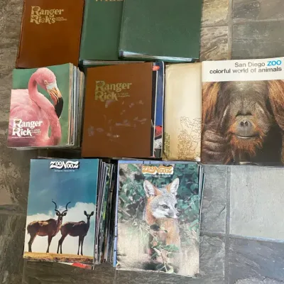 Nature Magazines 