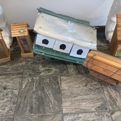 For The Birds