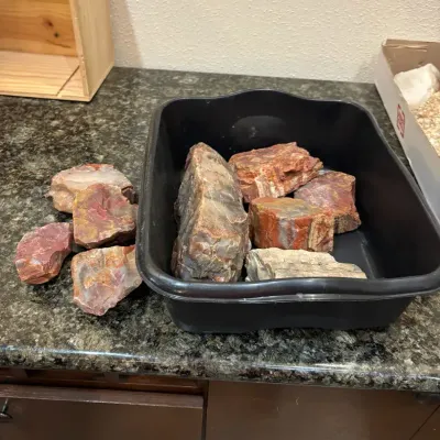 Petrified Wood