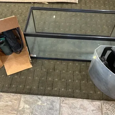 Start An Aquarium