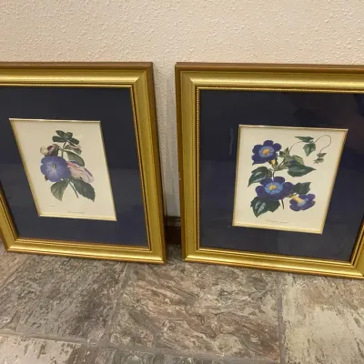 Frames Prints 