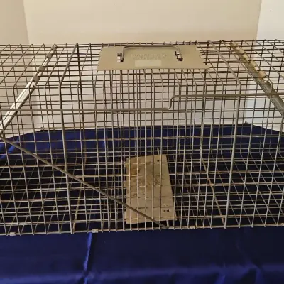 Havahart Humane Large 2 Door Animal Trap