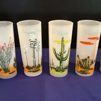 8 Vintage Blakely Oil & Gas Arizona Cactus Glasses - Frosted, Highball, MCM