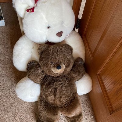 Sale Photo Thumbnail #333: White bear is fairly large