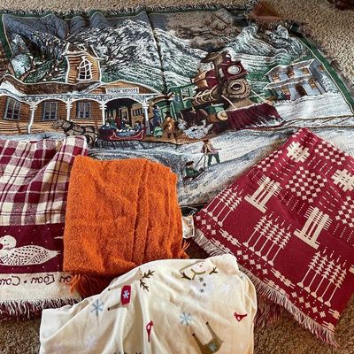 Sale Photo Thumbnail #127: Living room blankets