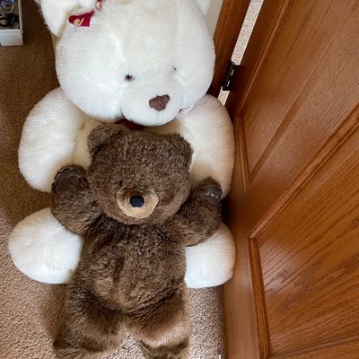 Sale Photo Thumbnail #334: White bear is fairly large